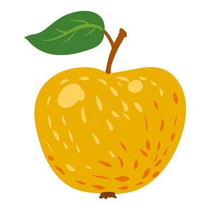 Ilustración de Fruta Amarilla De Manzana Producto De Nutrición Orgánica  Saludable Dibujos Animados Vectoriales Plana Ilustración De Moda Dibujado A  Mano Aislado y más Vectores Libres de Derechos de A la moda -