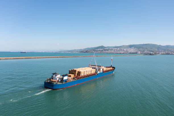 transport du bois - piloting commercial dock harbor industrial ship photos et images de collection