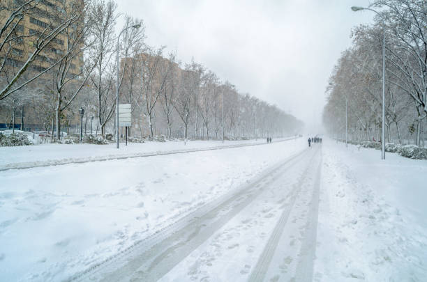 A remote highway runs through a dense forest, heavily covered in snow amid a fierce winter storm. Visibility is low, and the landscape is entirely white with streaks of snow crossing the road.