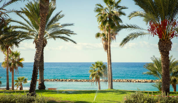 Hotel garden and beach in Paphos, Cyprus