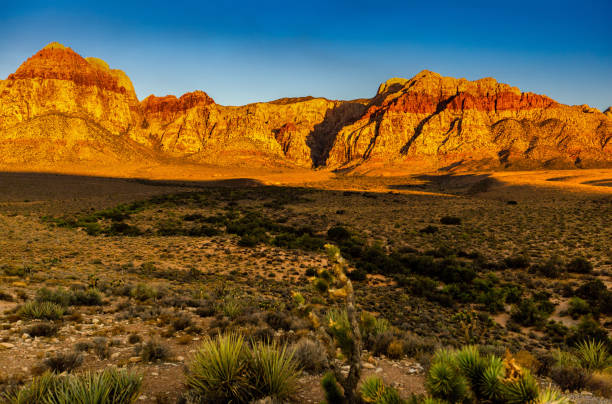 istock Red Rock Canyon National Conservation Area, Nevada, Sunrise 1317585554