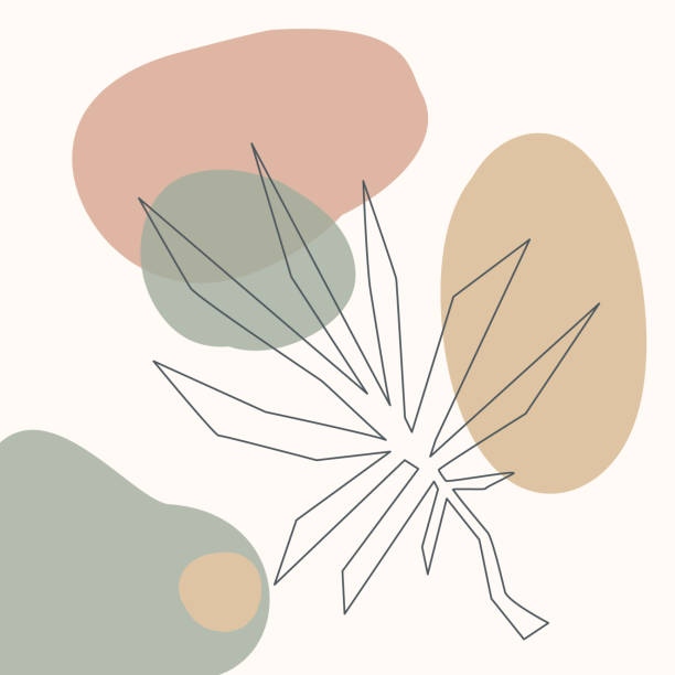 istock abstract shapes and floral outlined element artistic texture, soft pastel earthy color palette modern background, wall art contemporary minimalist square print, vector illustration graphic 1317586882