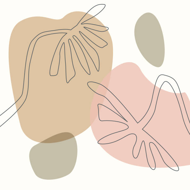 istock abstract shapes and floral outlined element artistic texture, soft pastel earthy color palette modern background, wall art contemporary minimalist square print, vector illustration graphic 1317587072