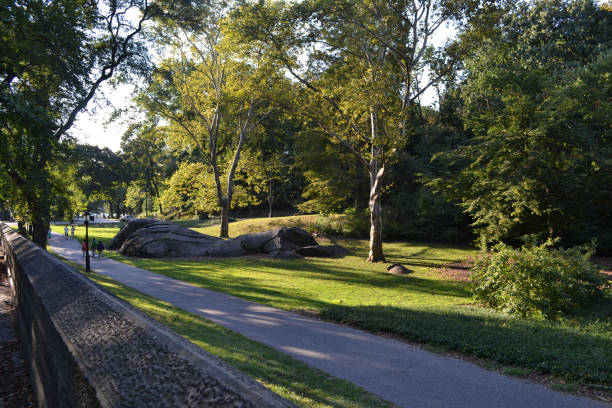 istock Central Park in New York city 1317588304