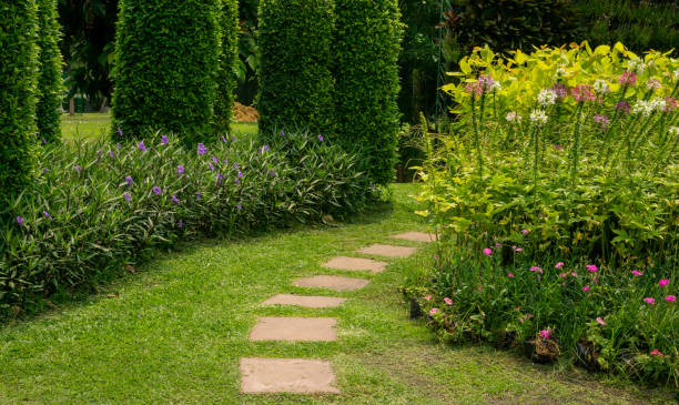istock Stepping walkway in small garden greenery shrubs  and flower 1317589408