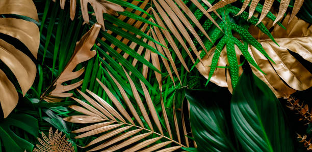 istock tropical leaves, abstract green leaves texture, nature background 1317595147
