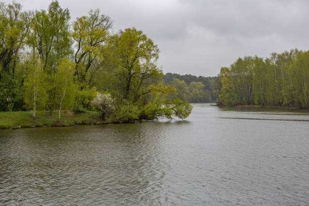 istock Scenic river view on rainy cloudy spring day 1317595221