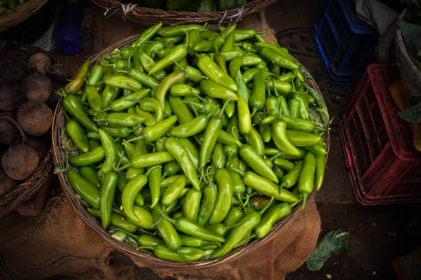 Numex Big Jim green chile peppers, whole. New Mexico pod type (Capsicum annuum). top view. Numex Big Jim green chile peppers, whole. New Mexico pod type (Capsicum annuum). top view. green chilli pepper stock pictures, royalty-free photos & images