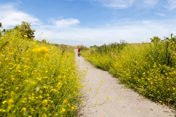 istock Boy cycling on a dirt road surrounded by flowers 1317602646