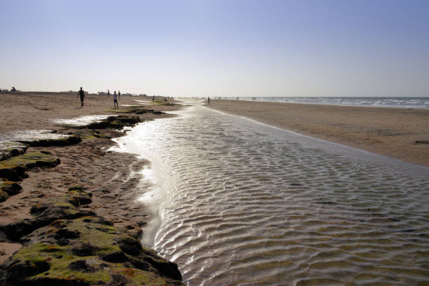 istock Berbera beach - Gulf of Aden, Somaliland, Somalia 1317604007