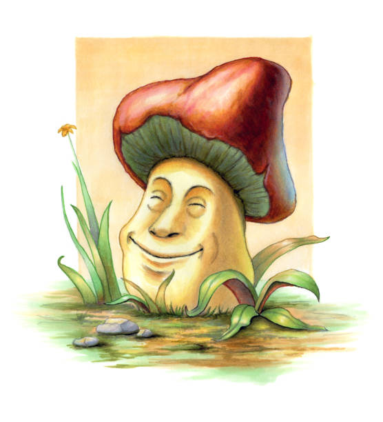 ilustraciones, imágenes clip art, dibujos animados e iconos de stock de seta sonriente - vertical meadow mushroom vegetable