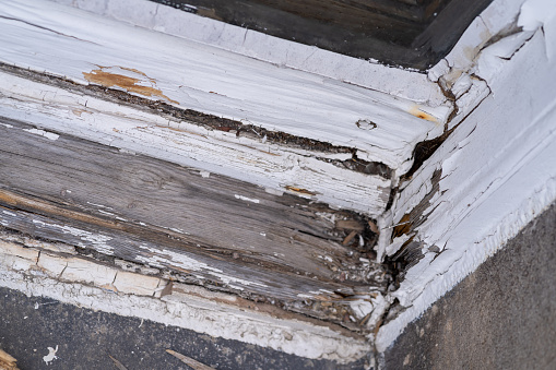 Stock photo showing close-up, elevated view of weathered and worn hardwood timber decking. The aged wood planks shows rotting, dirty wood grain caused by weather conditions.