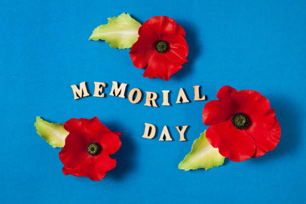 istock Text Memorial Day and a poppy flowers on blue background 1317611698