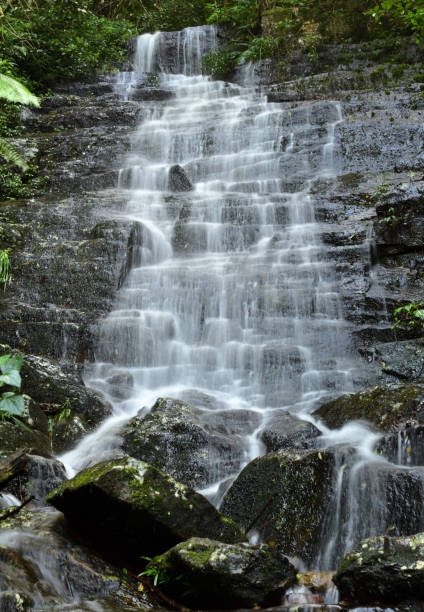istock Long Exposure landscape shot of Waterfall through dark rocks 1317612883