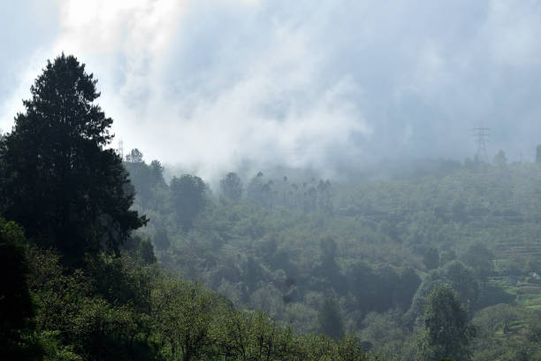 istock Foggy Landscape with Moving Fog 1317612934