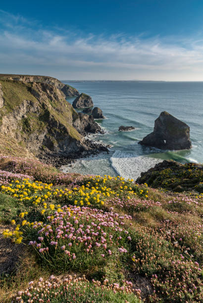 istock Beautiful landscape image during Spring golden hour on Cornwall coastline at Bedruthan Steps 1317613138