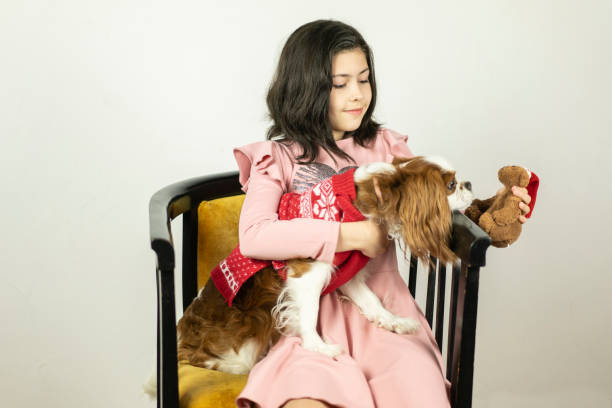 istock Christmas dressed dog playing with a small girl 1317614067