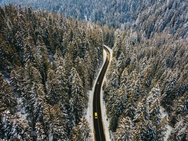 istock Highway. The road passes through a pine forest. Aerial view. 1317614723