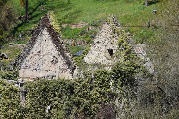 istock ivy covered ruin without roof 1317615119