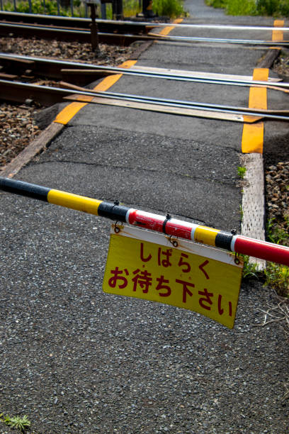 istock Japanese old railroad crossing 1317622226