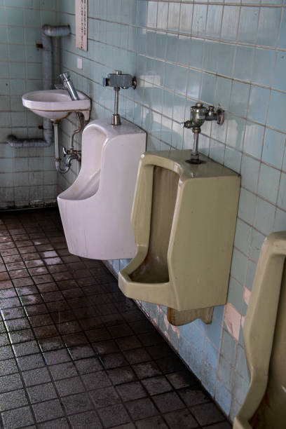 istock Japanese  public restroom 1317622435