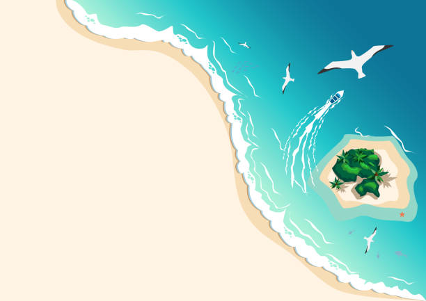 ilustrações, clipart, desenhos animados e ícones de vista aérea da praia tropical - cruise travel beach bay