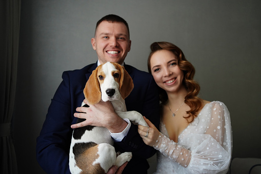 couple of newlyweds with a dog breed beagle. pets on their wedding day.
