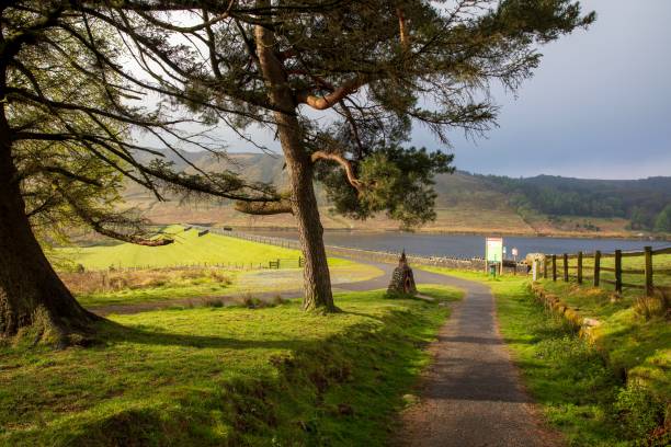 calf hey reservoir, haslingden grane, rossendale, lancashire - lancashire imagens e fotografias de stock