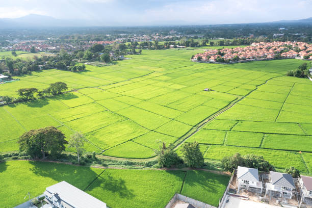 istock Land plot and green field in aerial view. 1317626410