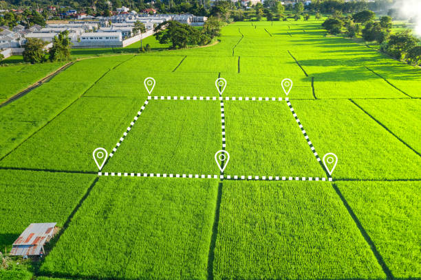 istock Land plot in aerial view for development or investment. 1317626418