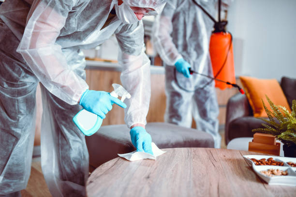 Medical Workers Focused On Home Sanitizing After Transporting Patients To Hospital Medical Workers Focused On Home Sanitizing After Transporting Patients To Hospital biohazard symbol stock pictures, royalty-free photos & images