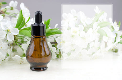 Essential oil with cherry tree extract. Natural herbal products. Serum bottle against the background of a blossoming cherry branch, copy space