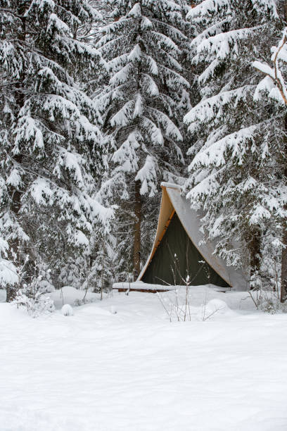 istock Somewhere far from the city in a quiet winter forest is a tent. 1317628004