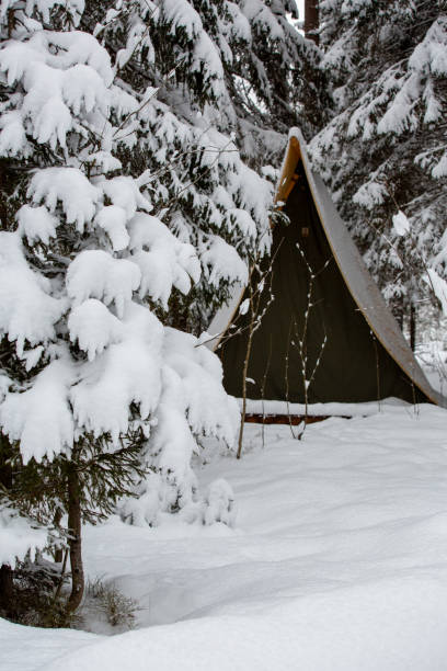 istock Quiet forest a snow-covered tent is hidden behind snow-covered trees. 1317628073