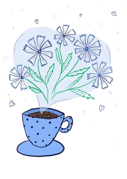 ilustraciones, imágenes clip art, dibujos animados e iconos de stock de imagen de una taza de bebida de raíz de achicoria.  una alternativa útil al café que no aumenta la presión arterial y contiene inulina. - inulin