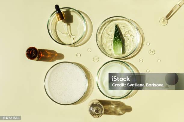 Skin Care Aloe Vera Gel Serum Cream And Aloe Vera Leafs Stock Photo - Download Image Now