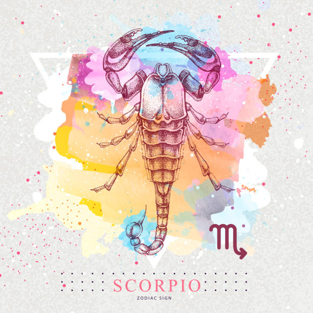 kuvapankkikuvitukset aiheesta moderni taianomainen noituuden kortti, jossa on astrologia scorpio-eläinradan kyltti taiteellisella vesiväritaustalla. realistinen käsin piirtäminen skorpioni kuva. - scorpio