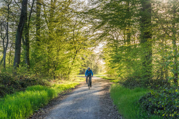 istock Man cycling through the forest in the spring afternoon light 1317634668