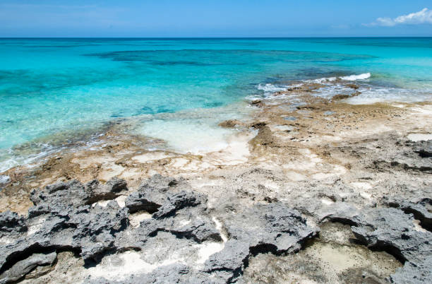 istock Half Moon Cay Rocky Shore And Caribbean Sea 1317637227