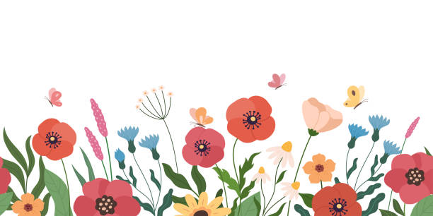 Floral horizontal background. Vector illustration of seamless floral pattern made by cartoon wild flowers. Isolated on white flowers stock illustrations