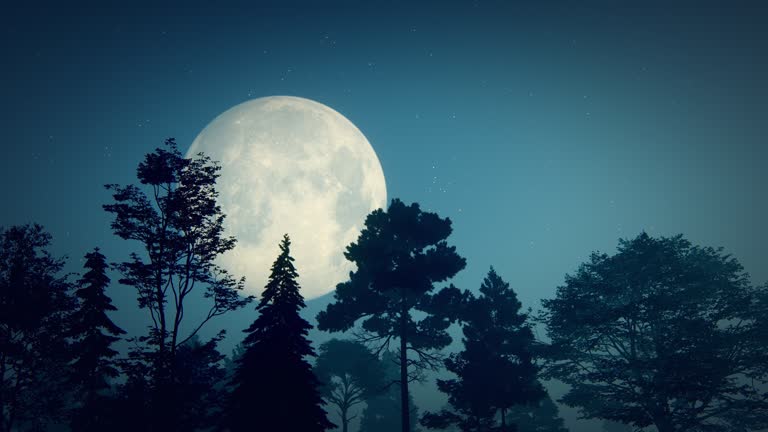 Moon and trees