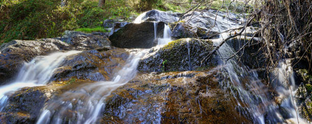 Photo of Panoramic of waterfall of water falling down the rocks in the enchanted forest. Madrid.