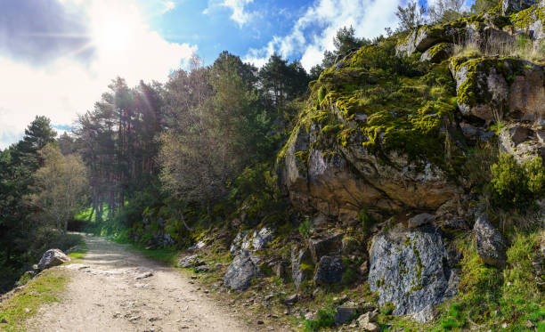 istock Path in the forest between pine trees and large rocks with sun rays in the sky. Guadarrama Madrid. 1317640752