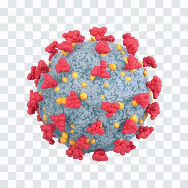 coronavirus covid-19 zelle. gefährliche corona-virus-infektionskrankheit unter dem mikroskop. mikroskopische ansicht von viruszellen aus nächster nähe. sars-pandemie und ansteckungsrisiko. 3d realistische vektor-illustration. - virus stock-grafiken, -clipart, -cartoons und -symbole