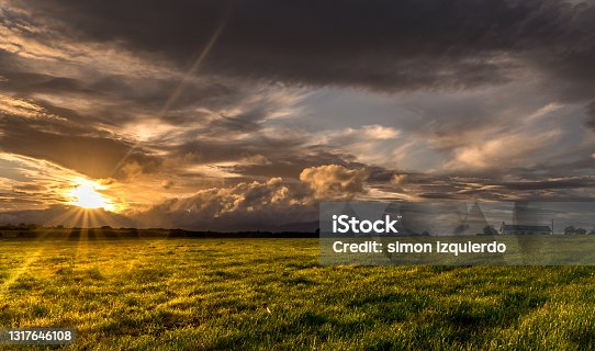 istock Sunset over green field with cattle at Bunmahon Co. Waterford 1317646108