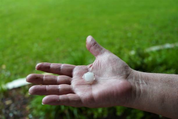 istock Hailstone in Palm of Human Hand 1317646324