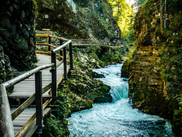 istock View on walk path at the Vintgar Gorge waterfall in Slovenia 1317648592