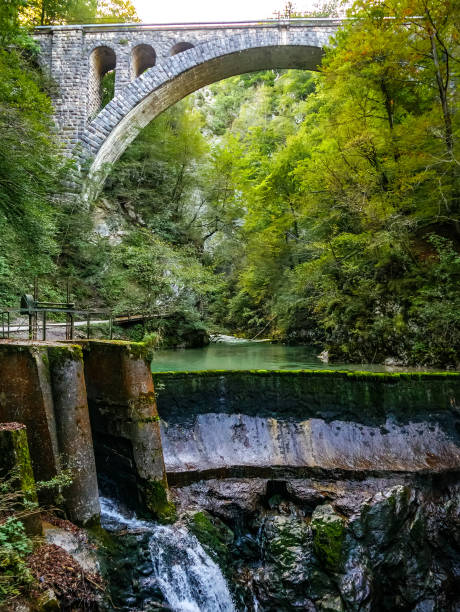 istock View on the Vintgar Gorge waterfall in Slovenia 1317648741