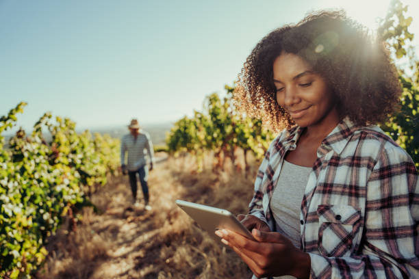 Mixed race female farmer smiling working in vineyards researching about vines on digital tablet with he help of male colleague Mixed race female farmer smiling working in vineyards researching about vines on digital tablet with he help of male colleague enjoying working in nature. High quality photo agriculture stock pictures, royalty-free photos & images