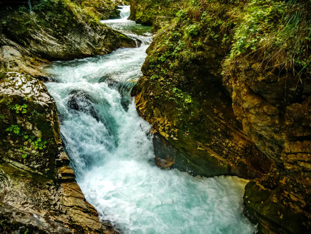 istock View on the Vintgar Gorge waterfall in Slovenia 1317648953